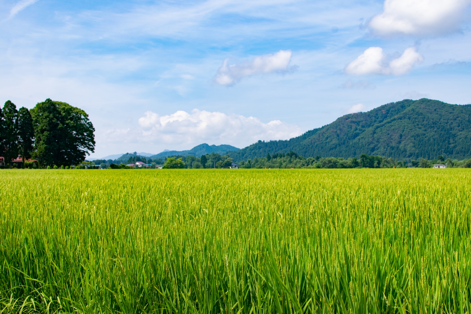 秋田県南エリアの風景