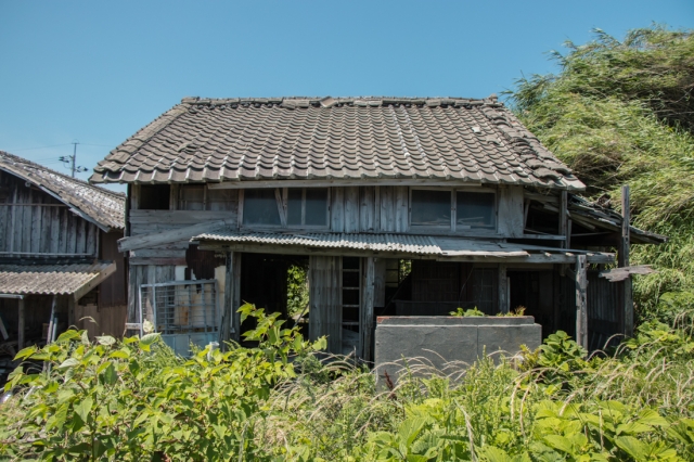 空き家の木が大きくなり管理が難しい