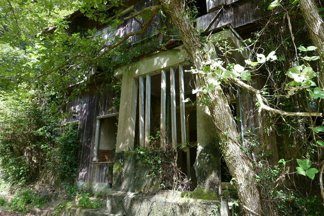 庭木の手入れ