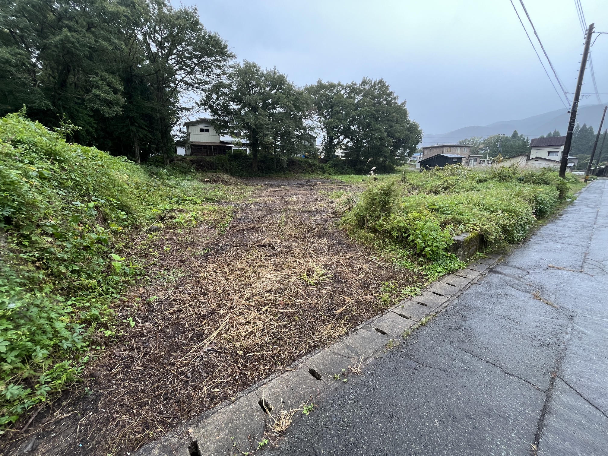 空き家敷地内の大木伐採